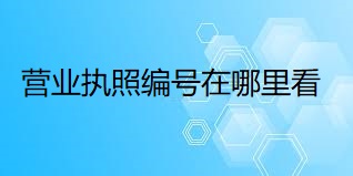 營(yíng)業(yè)執(zhí)照編號(hào)在哪里看？（最新查詢方法）