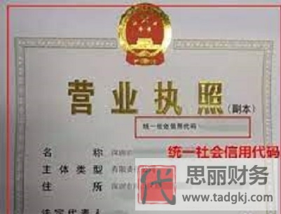 營業(yè)執(zhí)照代碼查詢系統(tǒng)（2023詳細(xì)查詢流程）