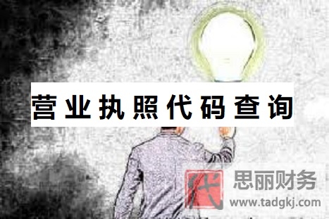 營業(yè)執(zhí)照代碼查詢系統(tǒng)（2023詳細(xì)查詢流程）