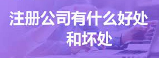 注冊公司的好處和壞處（實(shí)戰(zhàn)經(jīng)驗(yàn)分享）