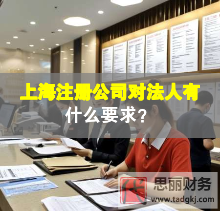 上海注冊公司對法人有什么要求？