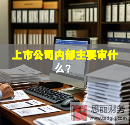 上市公司內(nèi)部主要審什么？