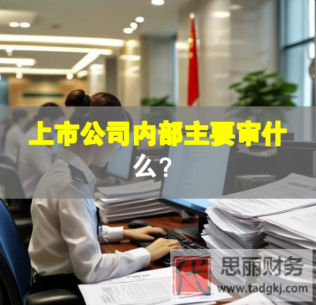 上市公司內(nèi)部主要審什么？