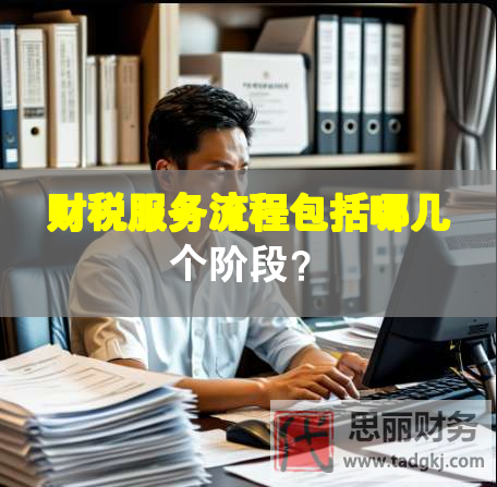 財(cái)稅服務(wù)流程包括哪幾個(gè)階段？