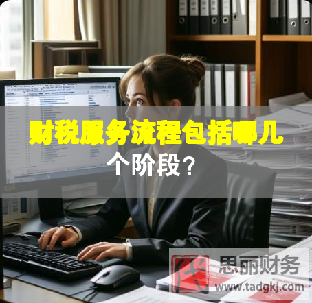 財(cái)稅服務(wù)流程包括哪幾個(gè)階段？