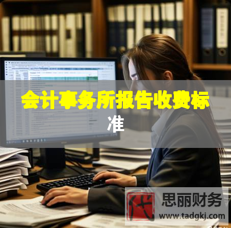 會計事務(wù)所報告收費標準