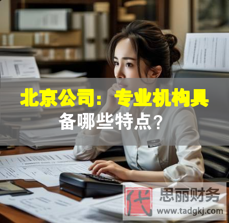 北京公司：專業(yè)機(jī)構(gòu)具備哪些特點(diǎn)？