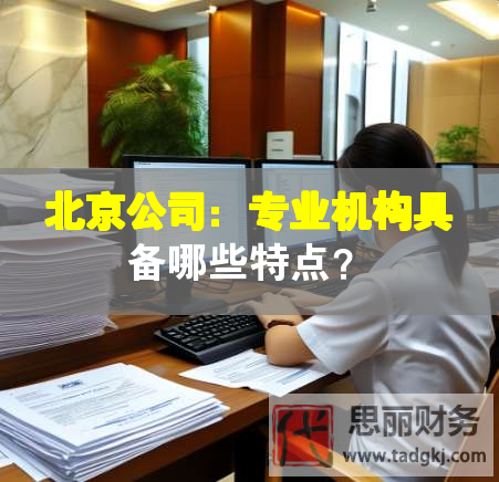 北京公司：專業(yè)機(jī)構(gòu)具備哪些特點(diǎn)？