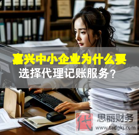 嘉興中小企業(yè)為什么要選擇代理記賬服務(wù)？