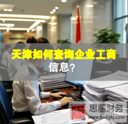 天津如何查詢企業(yè)工商信息？