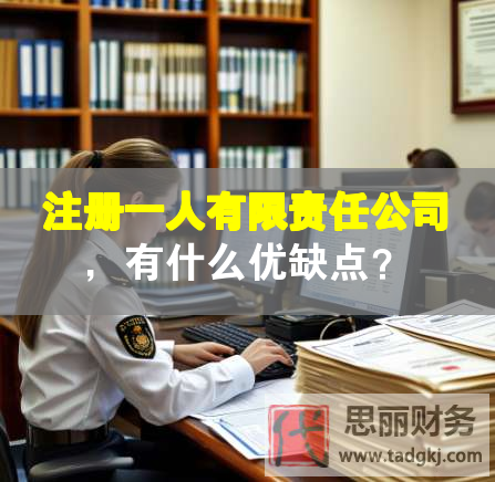 注冊一人有限責任公司，有什么優(yōu)缺點？