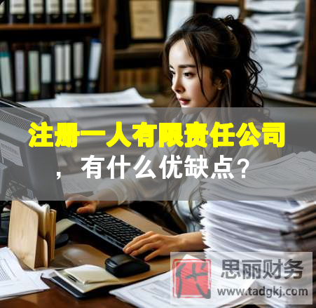 注冊一人有限責任公司，有什么優(yōu)缺點？