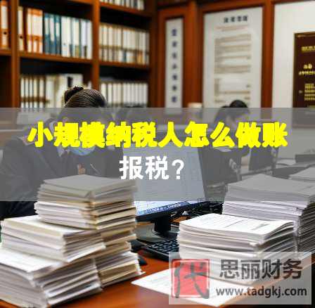 小規(guī)模納稅人怎么做賬報稅？
