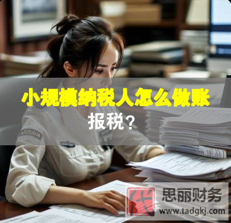 小規(guī)模納稅人怎么做賬報稅？
