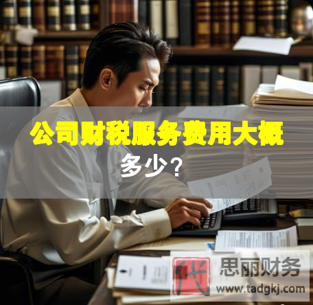 公司財稅服務(wù)費用大概多少？