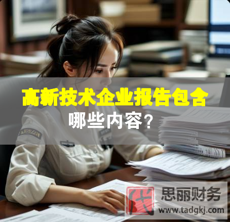 高新技術(shù)企業(yè)報(bào)告包含哪些內(nèi)容？