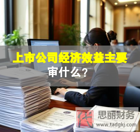 上市公司經(jīng)濟(jì)效益主要審什么？