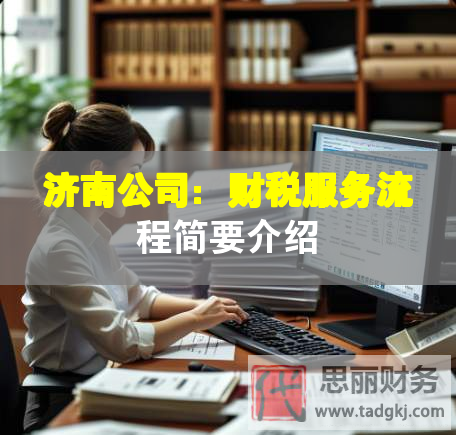 濟(jì)南公司：財(cái)稅服務(wù)流程簡要介紹