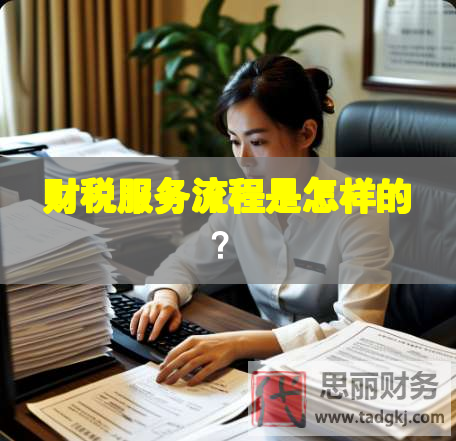 財(cái)稅服務(wù)流程是怎樣的？