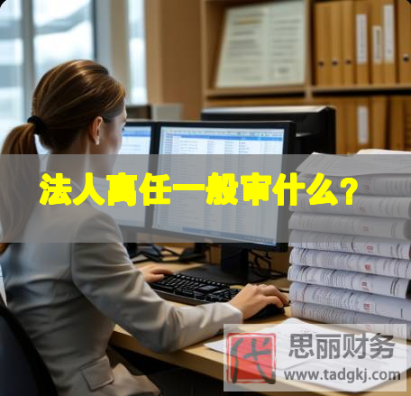 法人離任一般審什么？