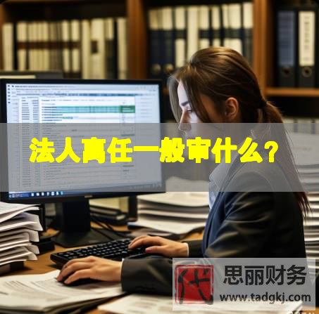 法人離任一般審什么？