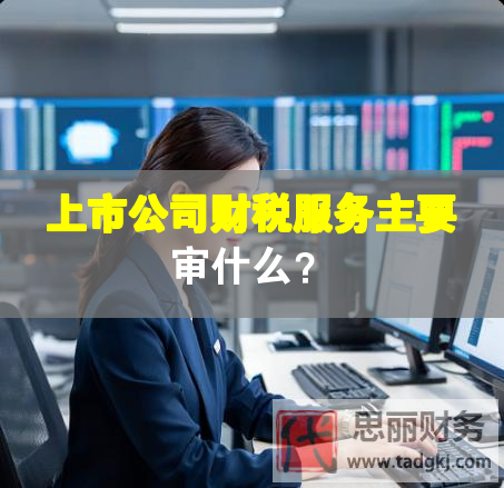 上市公司財(cái)稅服務(wù)主要審什么？