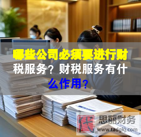 哪些公司必須要進(jìn)行財(cái)稅服務(wù)？財(cái)稅服務(wù)有什么作用？