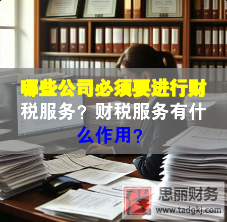 哪些公司必須要進(jìn)行財(cái)稅服務(wù)？財(cái)稅服務(wù)有什么作用？