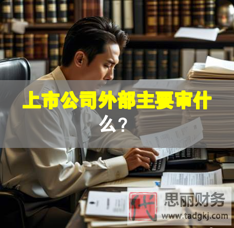 上市公司外部主要審什么？