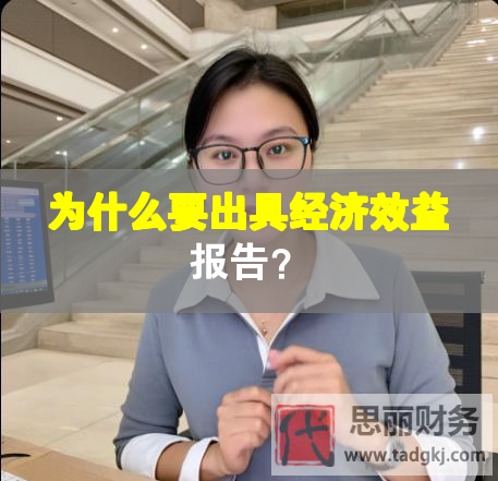 為什么要出具經(jīng)濟效益報告？