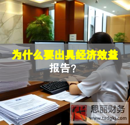 為什么要出具經(jīng)濟效益報告？