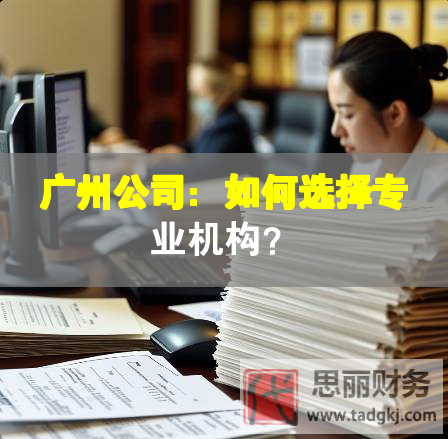 廣州公司：如何選擇專業(yè)機(jī)構(gòu)？
