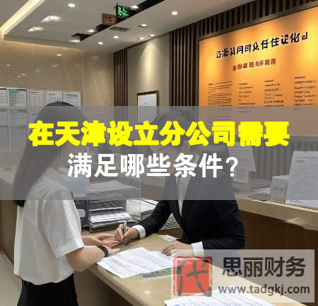 在天津設(shè)立分公司需要滿足哪些條件？