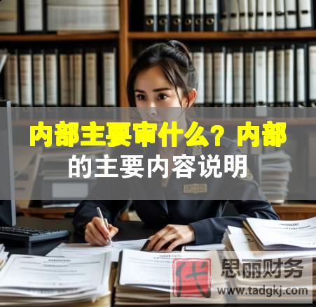 內部主要審什么？內部的主要內容說明