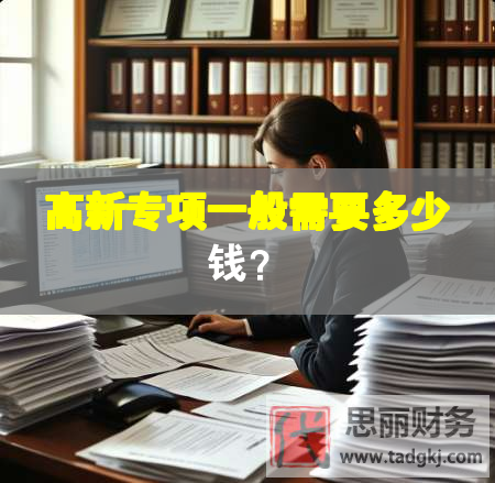 高新專項一般需要多少錢？
